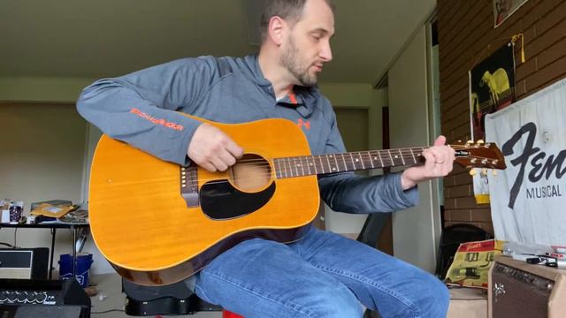 1969 Gibson Blue Ridge Acoustic Guitar - Brazilian Rosewood смотреть онлайн
