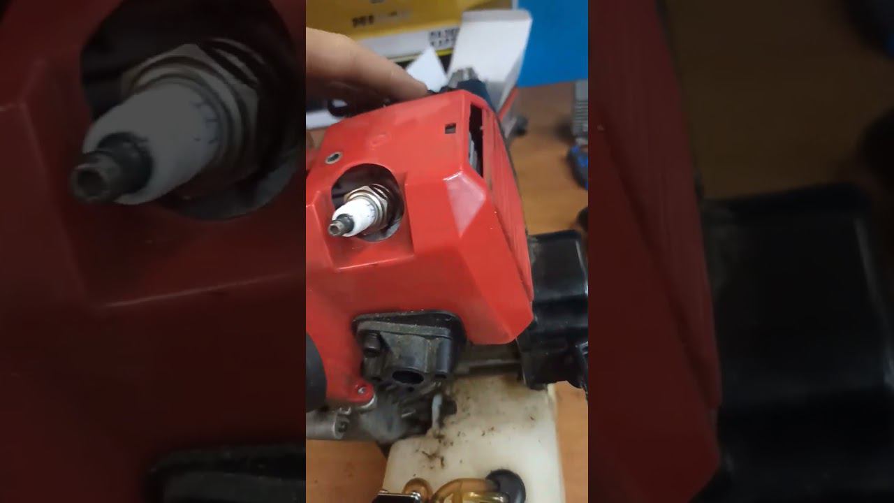 И без вскрытия было ясно! #мастерская #shorts смотреть онлайн