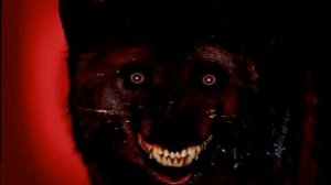 Смайл дог история ( картинки )