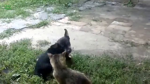 Что такое любовь? Взаимоотношения. Посмотри и узнай себя.My Edited Video.