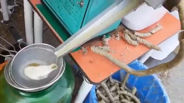 14 ПРЕСС ВИНТОВОЙ СЕМЕЧКИ МАСЛО смотреть онлайн
