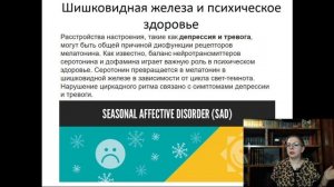 18. Эндокринная система (лекция по гистологии)