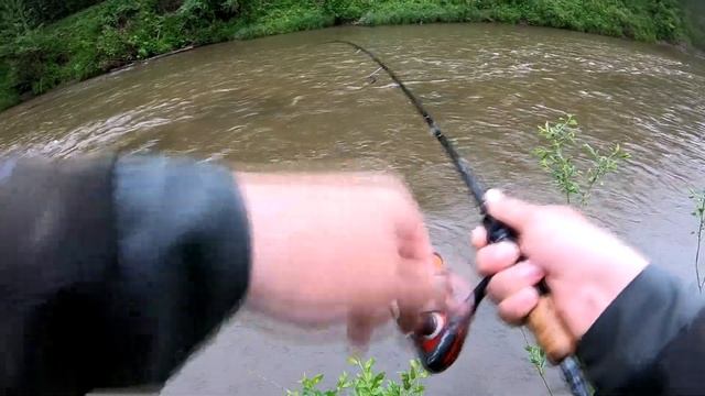 За голавлем по лесным рекам. Рыбалка - мечта смотреть онлайн