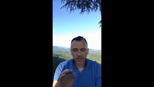 Критика и реакция на нее смотреть онлайн
