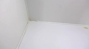 ХОМЯК переезжает в НОВЫЙ ДОМ / Уборка у Хомки Стрелки / Alisa Easy Pets