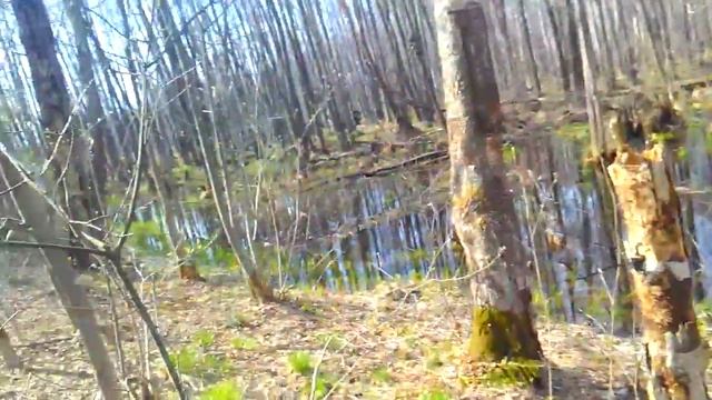 Пробираясь сквозь вязкую засасывающую топь к месту лагеря / Водный лес болота и трясины смотреть онлайн