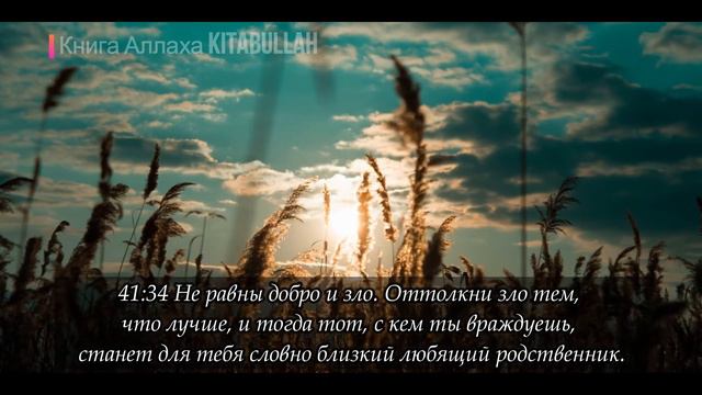 Красивое чтение Корана!!! Сура 41 Фуссилат (Разъяснены) аяты 33-36 смотреть онлайн