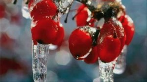 Калина красная Муз И.Слуцкого,ст В.Цыганова,исп Г.Погорельская Кислякова ..mp4