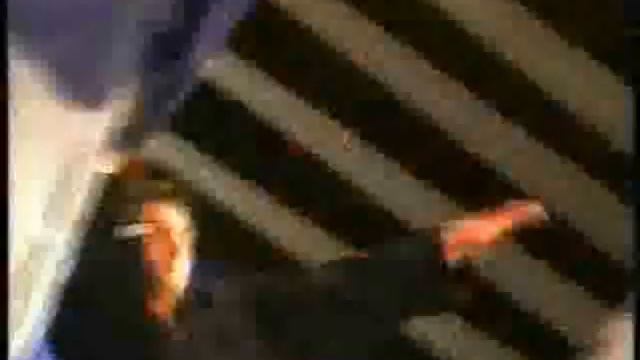 Yavor Diankov Ju Jitsu Demonstration Явор Дянков смотреть онлайн