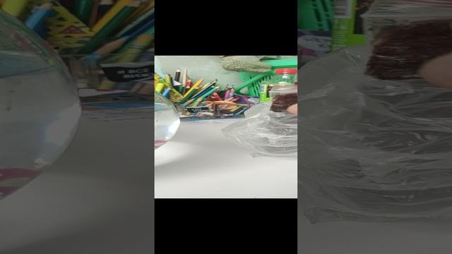 у меня новый питомец? смотреть онлайн