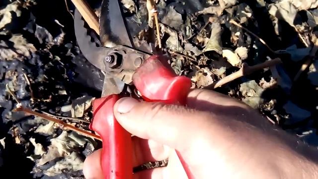 обрезка однолетнего куста винограда смотреть онлайн