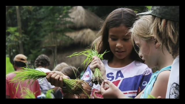 John Hardy: My green school dream смотреть онлайн