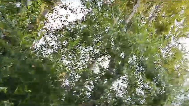 Ловля красношейки 18.08.2024. смотреть онлайн