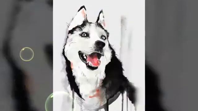Картинки смотреть онлайн