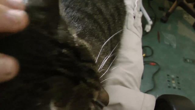 Test HDC-SD800 HD1080P смотреть онлайн