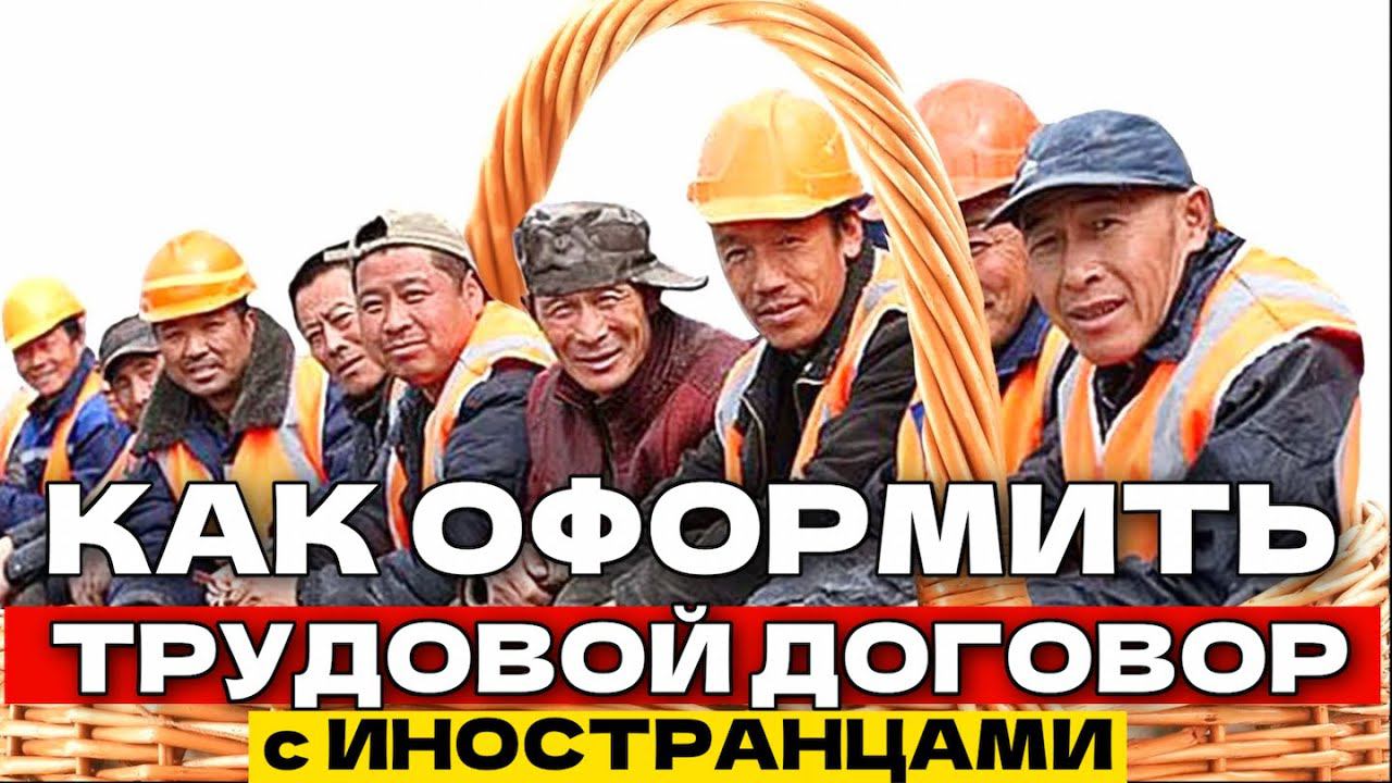 MsGroup - Миграционные услуги