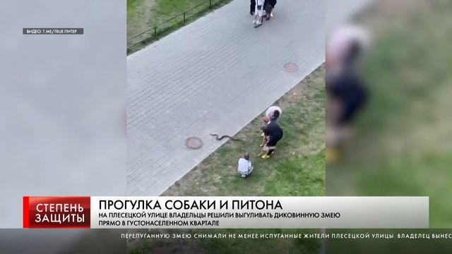 ПРОГУЛКА СОБАКИ И ПИТОНА смотреть онлайн