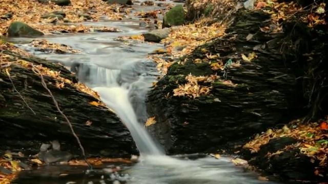 Осень наступила ! смотреть онлайн