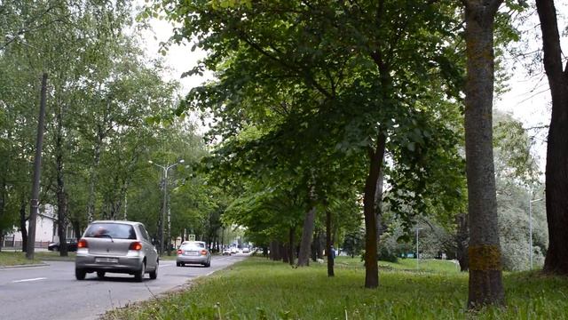 С ЛИПКИМ ДОКАЗАТЕЛЬСТВОМ ВЕРНУЛАСЬ К ЖЕНИХУ. Истории из жизни. Жизненные аудио рассказы смотреть онлайн
