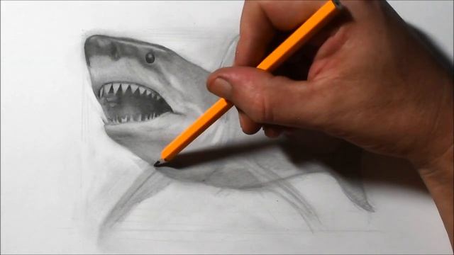 How to Draw a Shark | Pencil Drawing смотреть онлайн