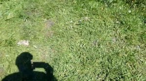 31 ставок первая рыбалка макеевка