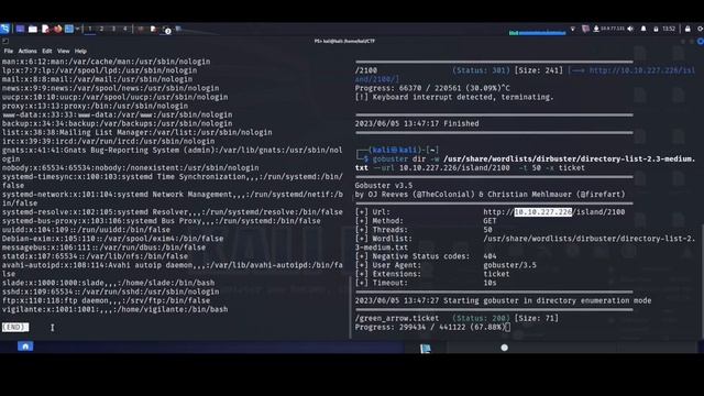 TryHackMe - Lian_Yu / CTF \ Пентест с нуля смотреть онлайн