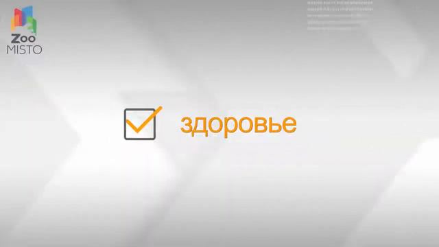 Вест хайленд уайт терьер смотреть онлайн