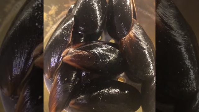 #мидии смотреть онлайн