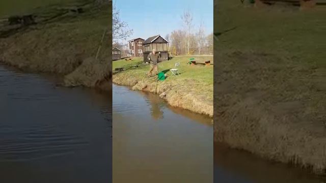 Апрель карповые на Велинке смотреть онлайн