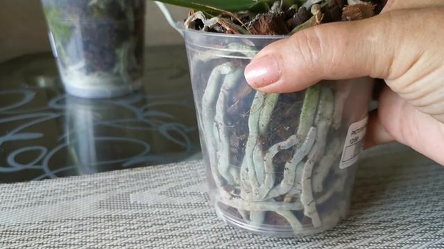 Меня не остановить... Опять новинки!!! 🌸🌸🌸 смотреть онлайн