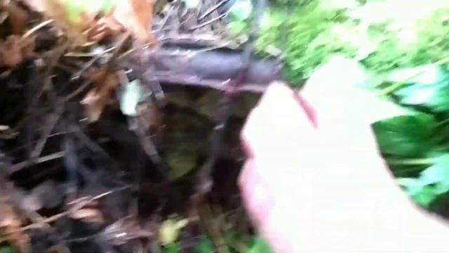 Коп металлолома и 250 кг геморроя смотреть онлайн