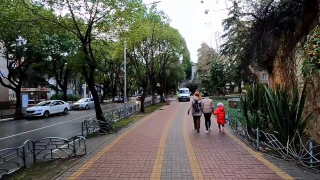 ул.Победы и в январе зеленая и с цветочками! И чистая ,за что спасибо!?ЛАЗАРЕВСКОЕ СЕГОДНЯ ?СОЧИ.