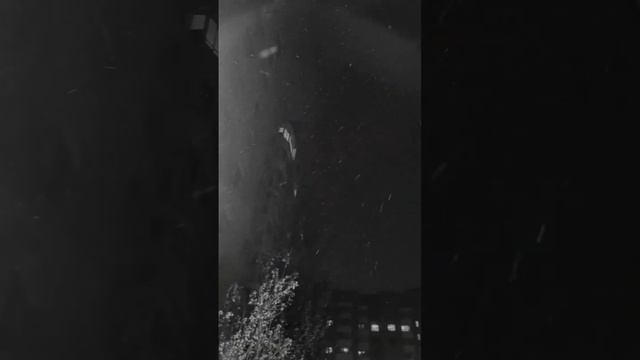 Астана. так начинается зима в Казахстане #казахстан #астана смотреть онлайн