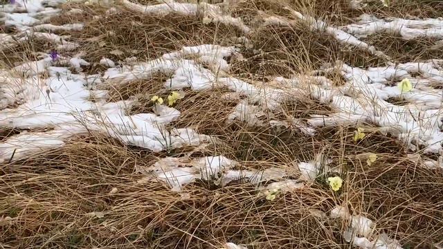 Дорога на плато Канжол Кабардино-Балкария май 2022 смотреть онлайн