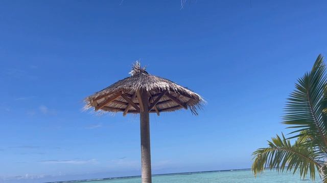 Прогулка по моему отелю на Мальдивах Riu Palace 5*Рестораны A La Carte/А walk through my hotel смотреть онлайн
