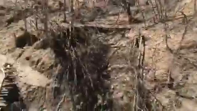 ЧЕЧЕНЦЫ УМНЫЕ, ОНИ ПРОЦВЕТАЮТ И ЦЕНЯТ ЦЕНУ ЖИЗН, ПОЭТОМУ ВСЕГДА ВПЕРЕДИ смотреть онлайн