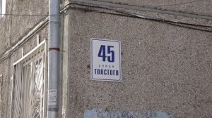 ЧЕРНАЯ ПЛЕСЕНЬ НА СТЕНАХ