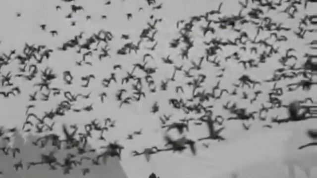 Не остуди свое сердце сынок смотреть онлайн