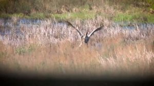 Заповедник "Оренбургский" - это твой заповедник