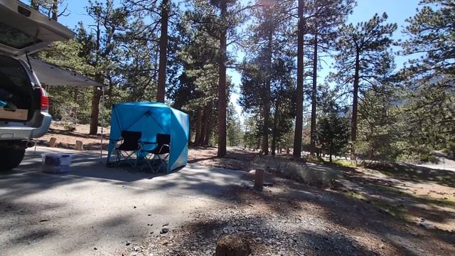 Camping at Manker Campground ( Mt Baldy) смотреть онлайн