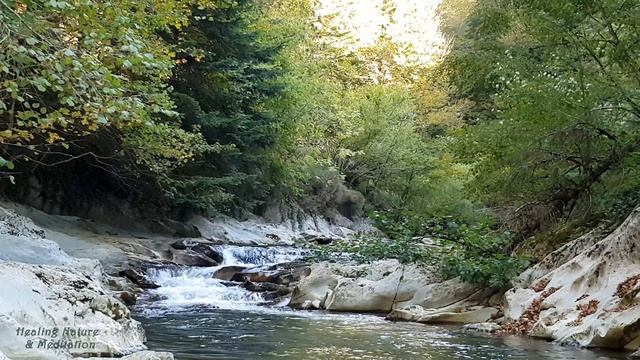 Relaxing Nature Ambience Meditation ?5 min Peaceful River Flowing Sound?Healing AUTUMN FOREST Sound смотреть онлайн