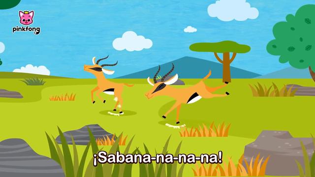 🦁Esta Es la Sabana 🐘🦓🦒| Canciones de Animales | Pinkfong Canciones Infantiles смотреть онлайн