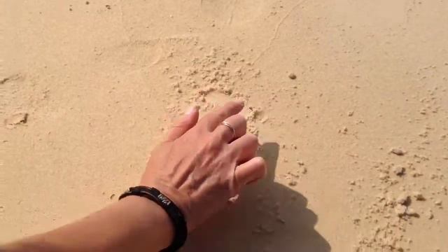 Вьетнамия. Бня Надя и краб Варя. И песни смотреть онлайн
