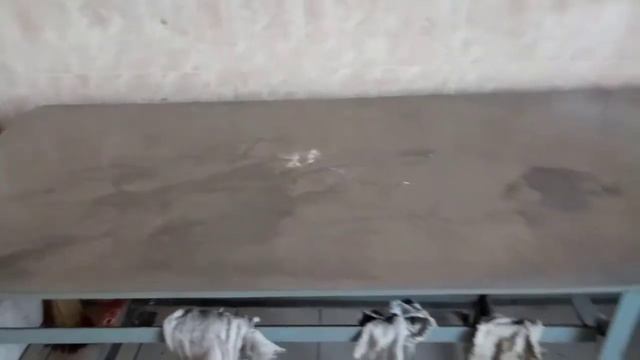 ГДЕ Я НАХОЖУСЬ?///ОБЩАГА?///УНИВЕР?///ВЗРОСЛЕНИЕ? смотреть онлайн