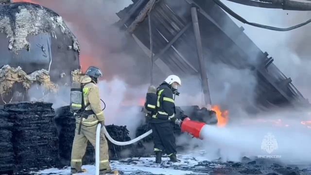 В Рязани ликвидировали пожар на улице Дружной смотреть онлайн