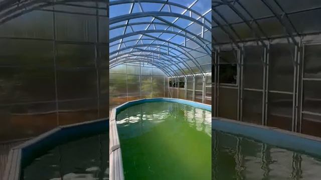 Павильон для бассейна шириной 5 метров.