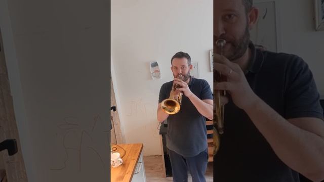 Обзор корнета Holton Collegiate смотреть онлайн