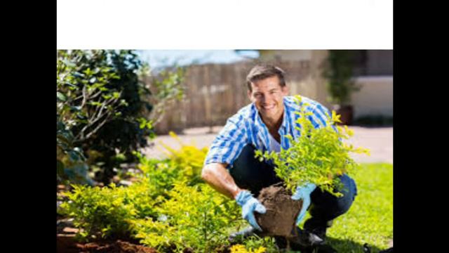 English Course - Vocabulary : Hobbies For 3rd Grade & Common Core / الإنجليزية - الهوايات смотреть онлайн