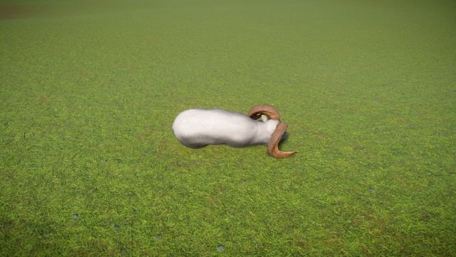Goat | Planet Zoo Animals смотреть онлайн