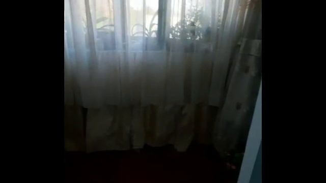 Кызыл-Кыя Ул, Кулотова 36 кв 8, 0777046090. Ольга. Остаётся шифонер вагонка, кухонный гарнитур.